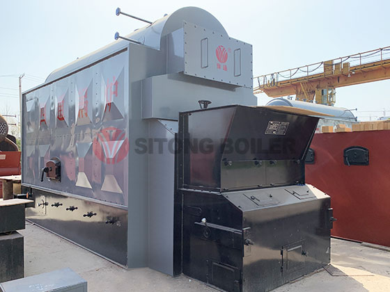 DZL Series Coal Biomass Chain Grate Boiler