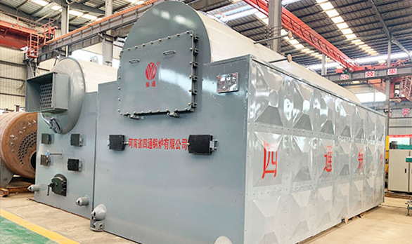 DZL Series Coal Biomass Chain Grate Boiler