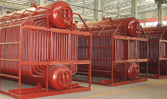 Coal Biomass Fired Steam Boiler