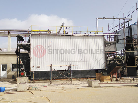 Coal Biomass Fired Steam Boiler