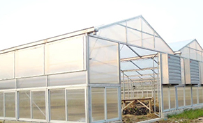 Glass Greenhouse