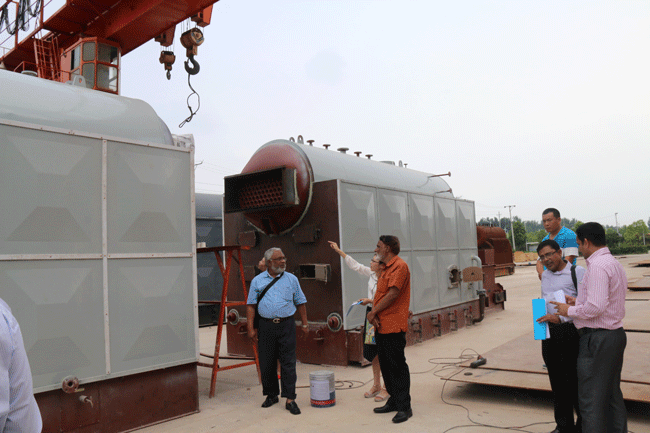 10t DZL Wood Fired Steam Boiler for Bangladesh