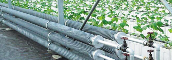 Boiler Used for Green House