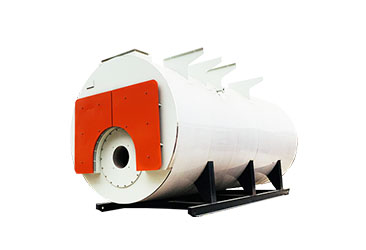 Diesel/HFO/LPG Fired Steam Boiler