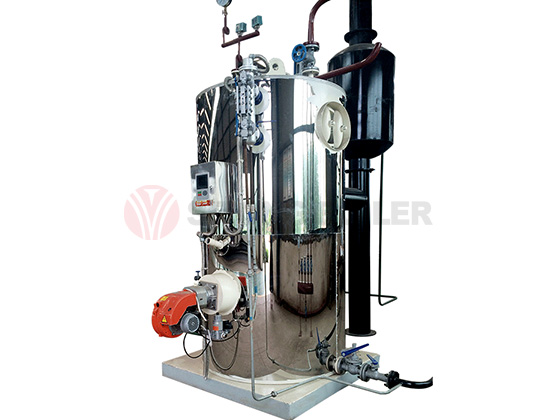 CLHS Vertical Type Industrial Oil Gas Hot Water Boiler