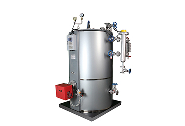 CLHS Vertical Type Industrial Oil Gas Hot Water Boiler