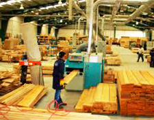 Wood Processing Factory Boiler
