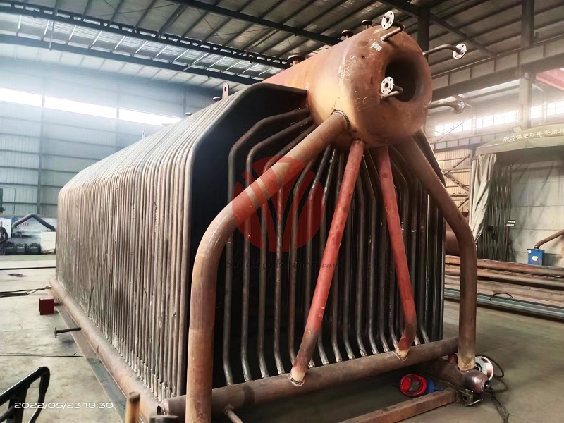 10 ton Biomass Fired Steam Boiler for Food and Beverage Factory in Indonesia