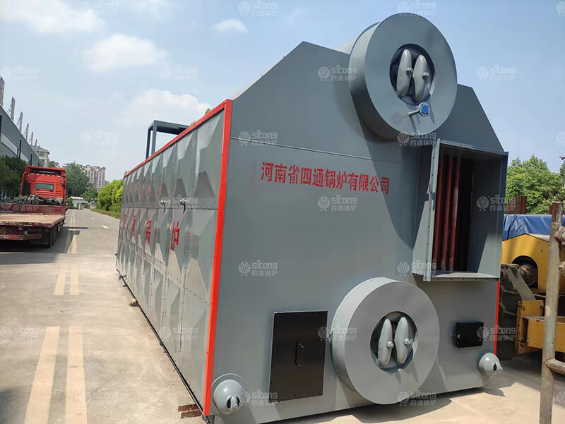 12 ton Biomass Fired Chain Grate Steam Boiler Used for a Seafood Factory in Thailand