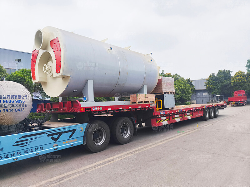 6 ton of Natural Gas Fired Steam Boiler Used for Dairy Processing Enterpruse in Russia