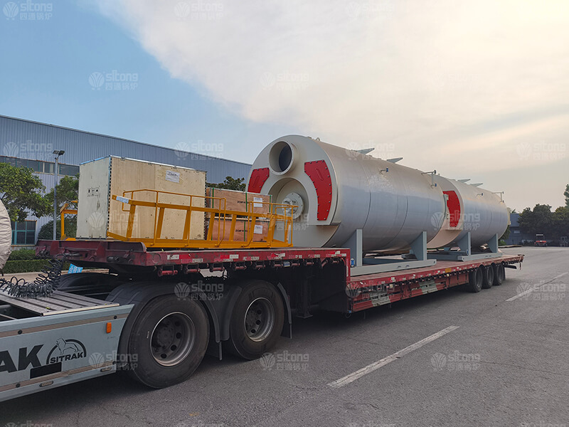 2 Sets of Natural Gas Fired Steam Boiler Used for a Dairy Processing Enterprise in Russia