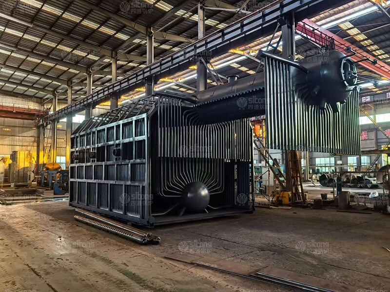 25 tons of Double Drum Coal Fired Chain Grate Steam Boiler Used for a Chemical Enterprise in Columbi