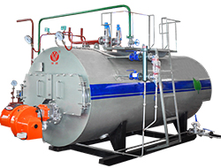 CWNS Series Gas Oil Hot Water Boiler