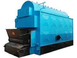 DZL Biomass Chain Grate Steam Boiler