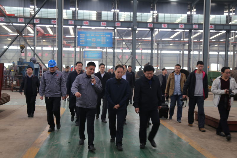 Zhoukou City Mayor Visit Stiong Boiler