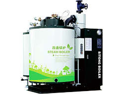 Small Capacity Gas Fired Boiler
