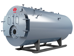 Propane Gas Fired Steam Boiler