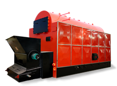 Rice Husk Fired Chain Grate Steam Boiler