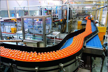Hot Oil Boiler Used for Food Processing Industry