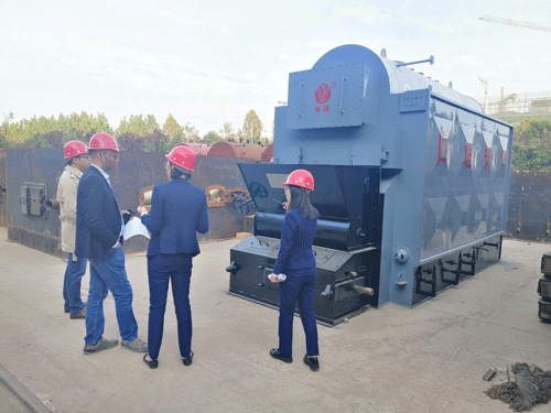 Nigeria customer visit Sitong Boiler