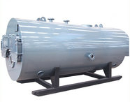 oil gas fuel bot water boiler