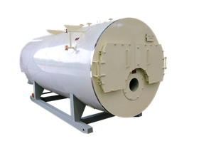 Industrial LPG Gas Boiler